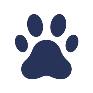 Animals Shop